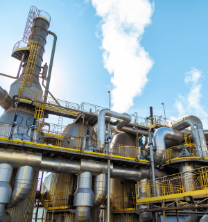 Sugar Industry & Flour Industry